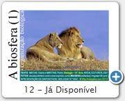 12 - Já Disponível