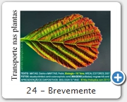 24 - Brevemente