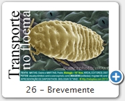 26 - Brevemente