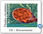 28 - Brevemente