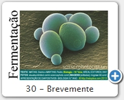 30 - Brevemente