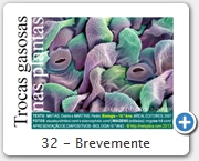 32 - Brevemente