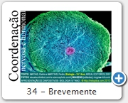 34 - Brevemente