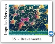 35 - Brevemente