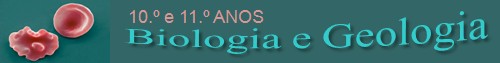 Netxplica :: Biologia 12