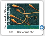 06 - Brevemente