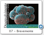 07 - Brevemente