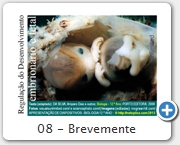 08 - Brevemente