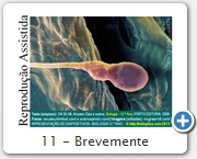 11 - Brevemente