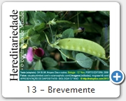 13 - Brevemente