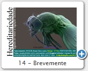 14 - Brevemente