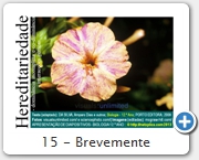 15 - Brevemente