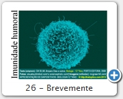 26 - Brevemente