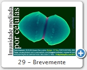 29 - Brevemente