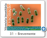 31 - Brevemente