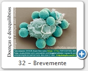 32 - Brevemente