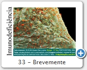 33 - Brevemente