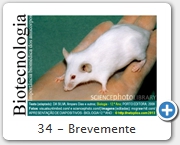 34 - Brevemente