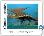 44 - Brevemente