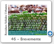 46 - Brevemente