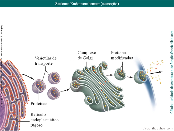 Diapositivo113