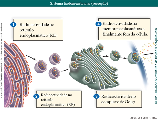 Diapositivo114