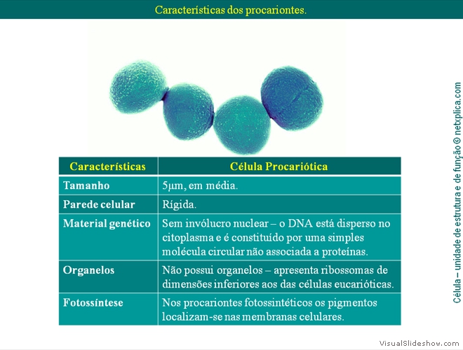 Diapositivo122