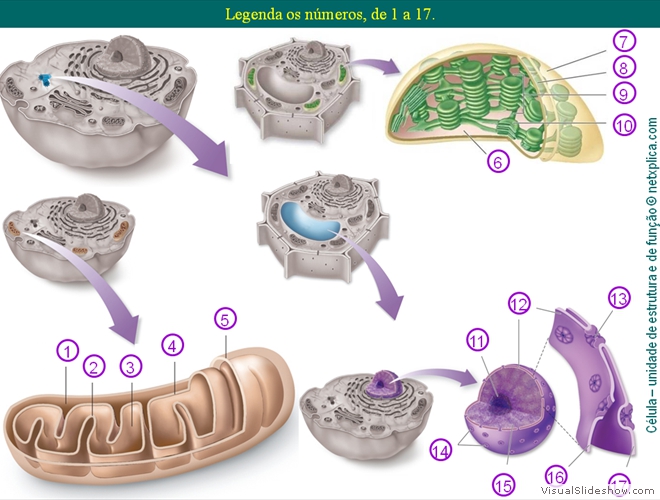 Diapositivo124