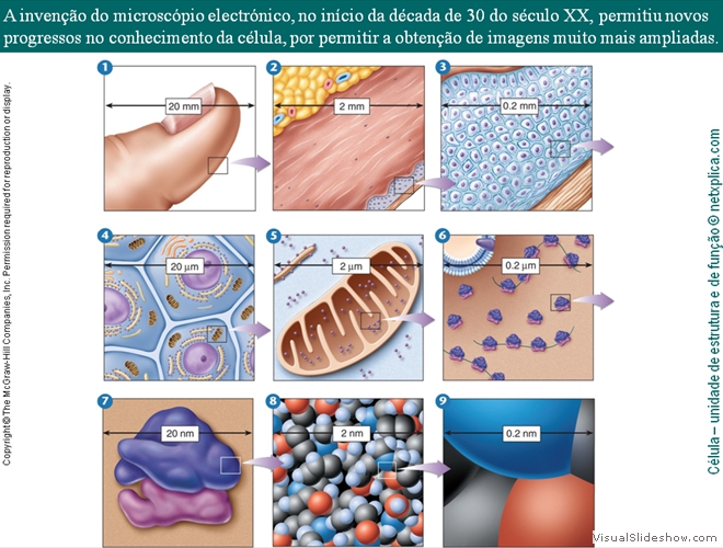 Diapositivo17