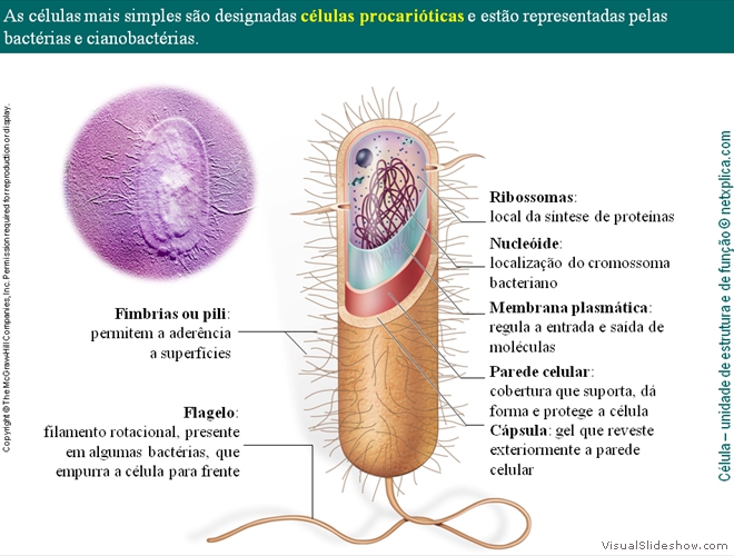 Diapositivo37