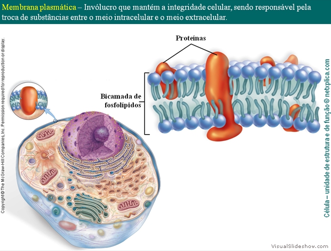 Diapositivo57