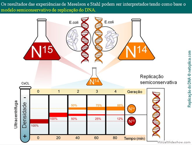 Diapositivo12