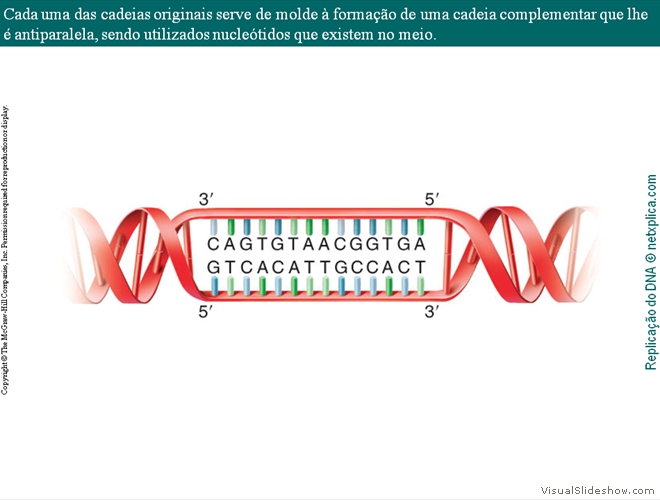 Diapositivo14