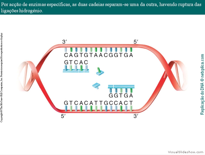 Diapositivo15