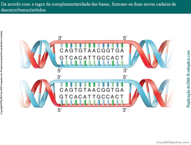 Diapositivo16