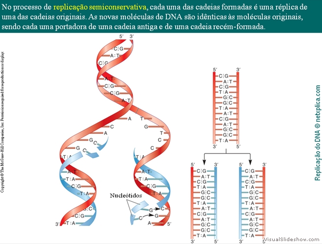 Diapositivo17