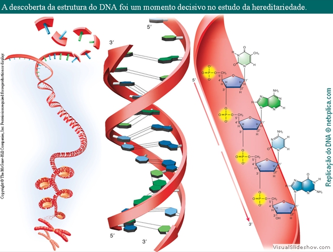 Diapositivo3