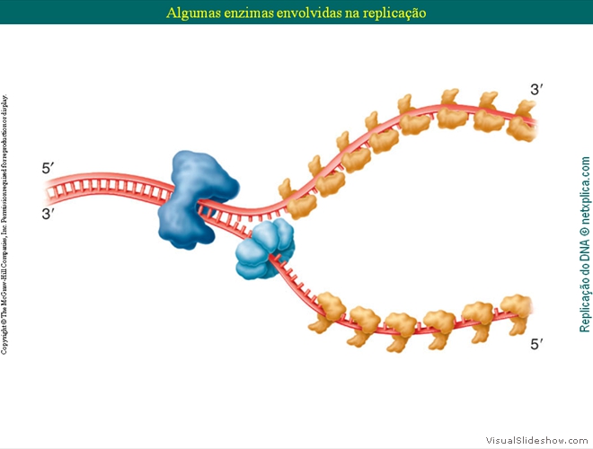 Diapositivo32