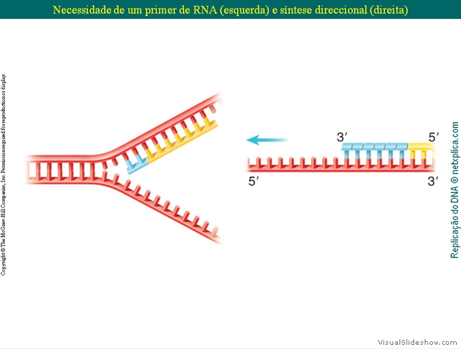 Diapositivo34