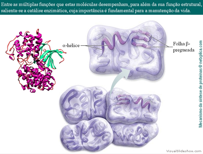 Diapositivo101