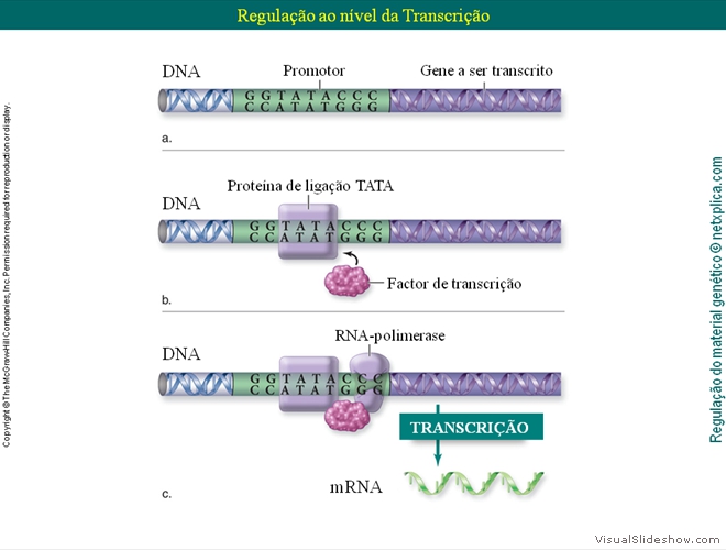 Diapositivo105