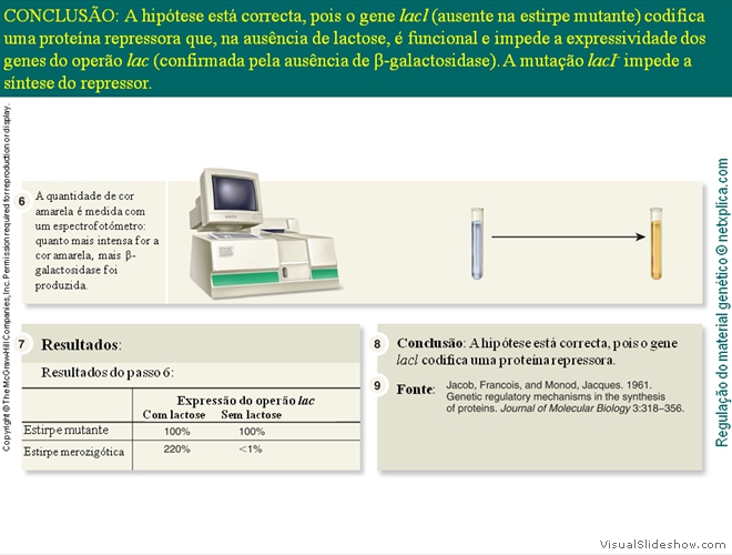 Diapositivo119