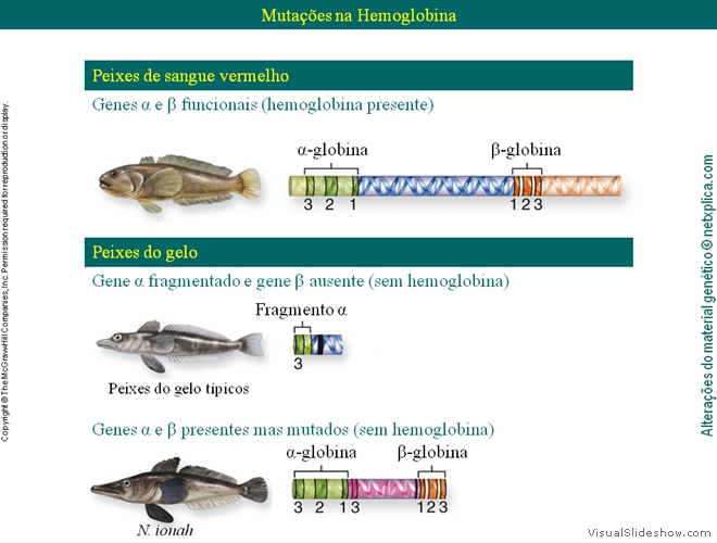 Diapositivo122