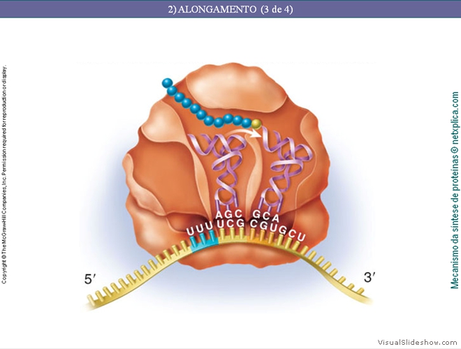 Diapositivo133