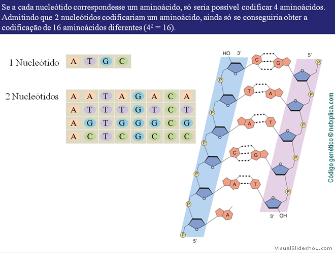 Diapositivo14