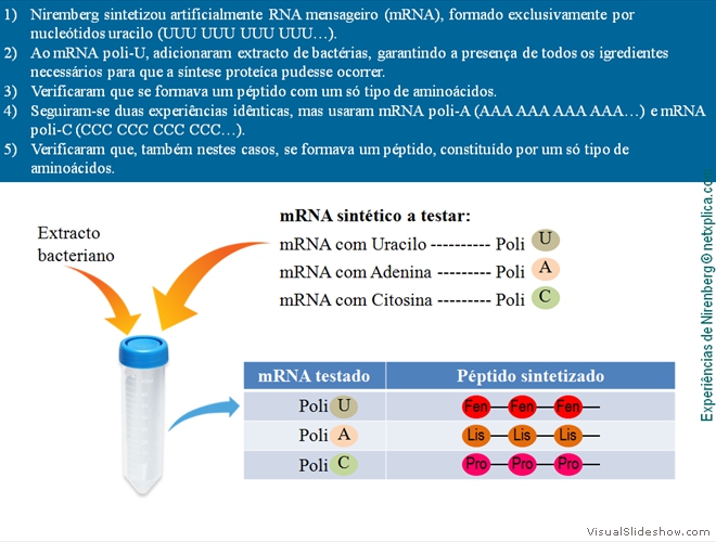 Diapositivo19