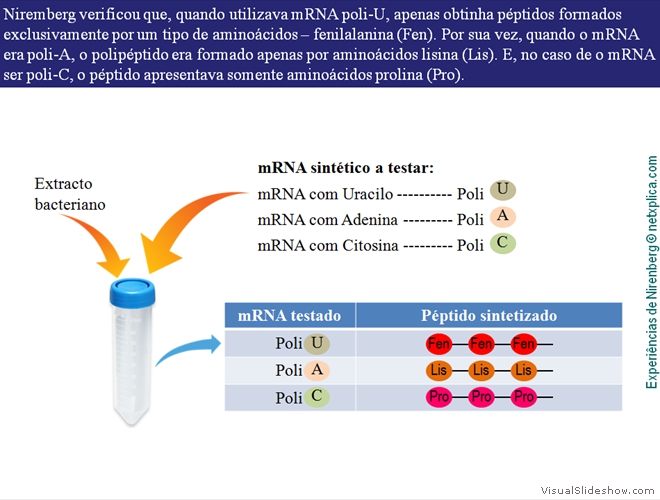 Diapositivo22