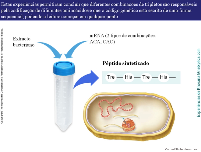 Diapositivo25