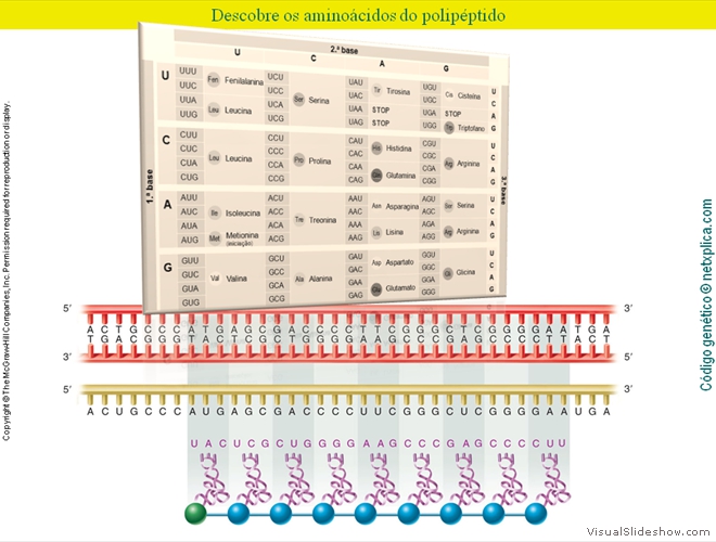 Diapositivo37