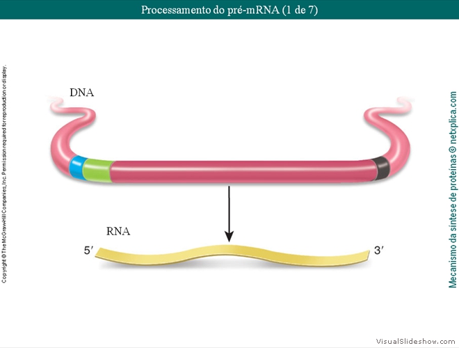 Diapositivo62